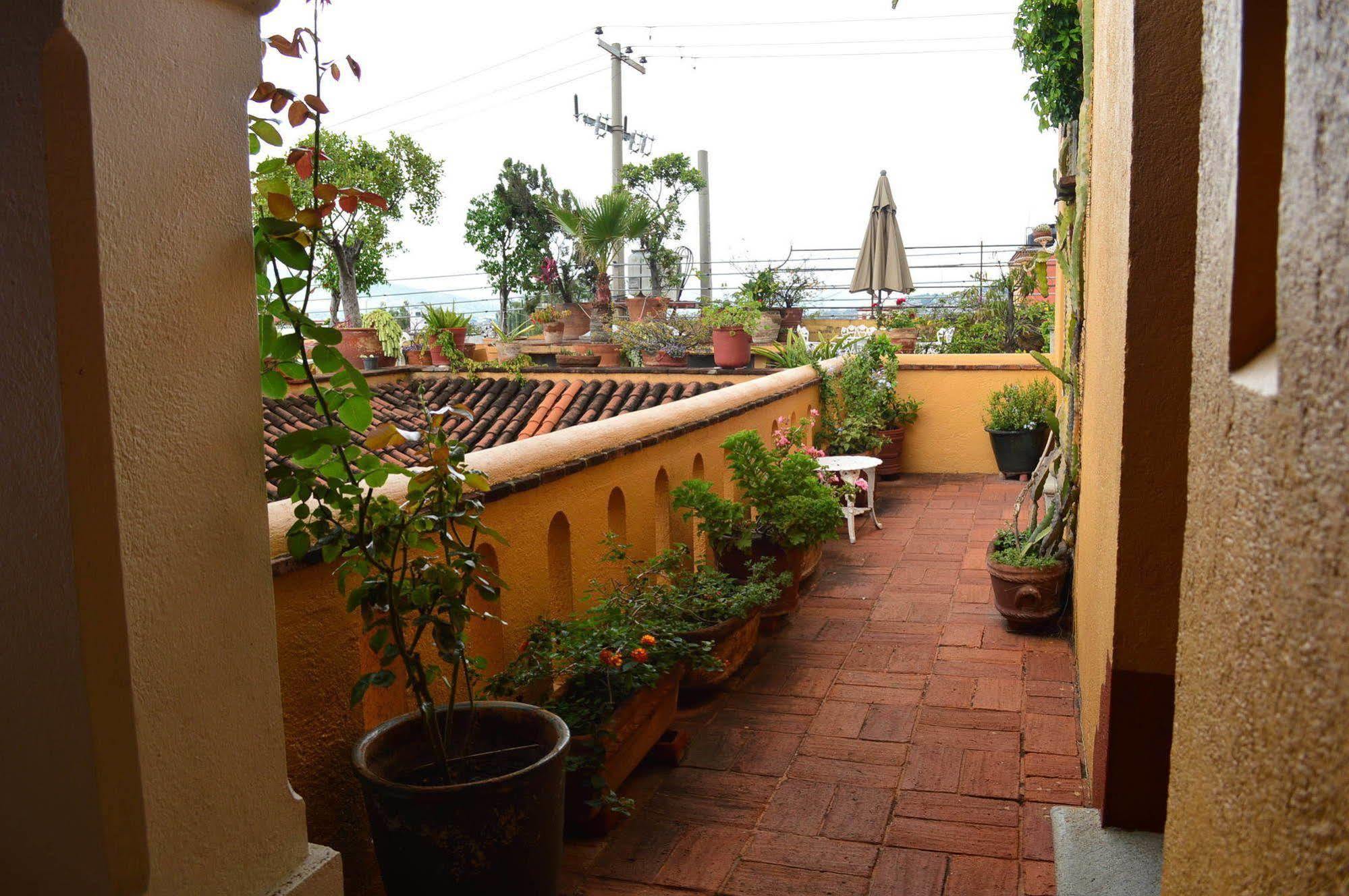 Oaxaca Hotel Azucenas מראה חיצוני תמונה