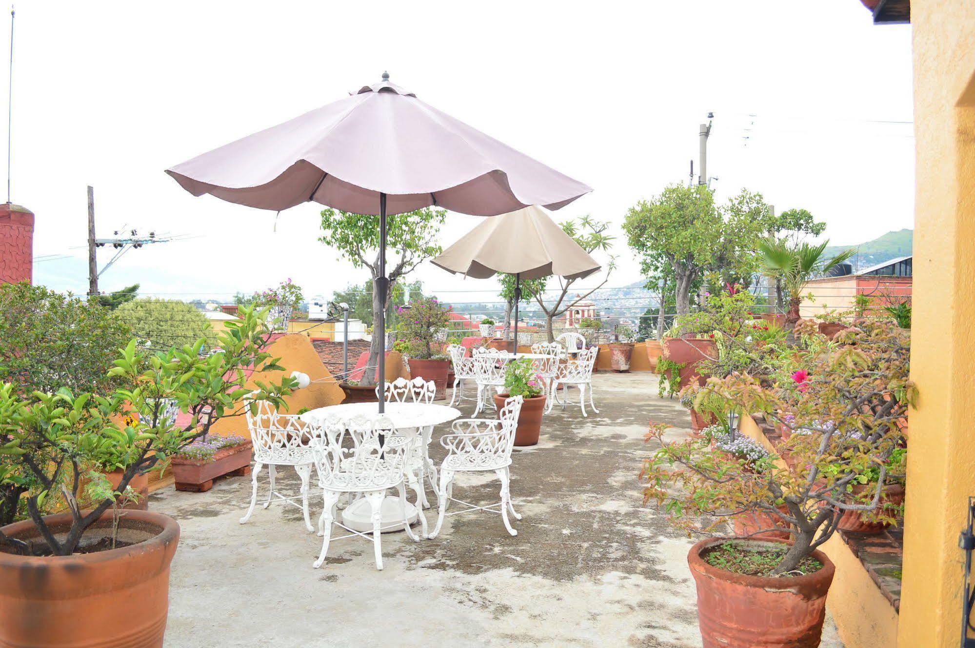 Oaxaca Hotel Azucenas מראה חיצוני תמונה